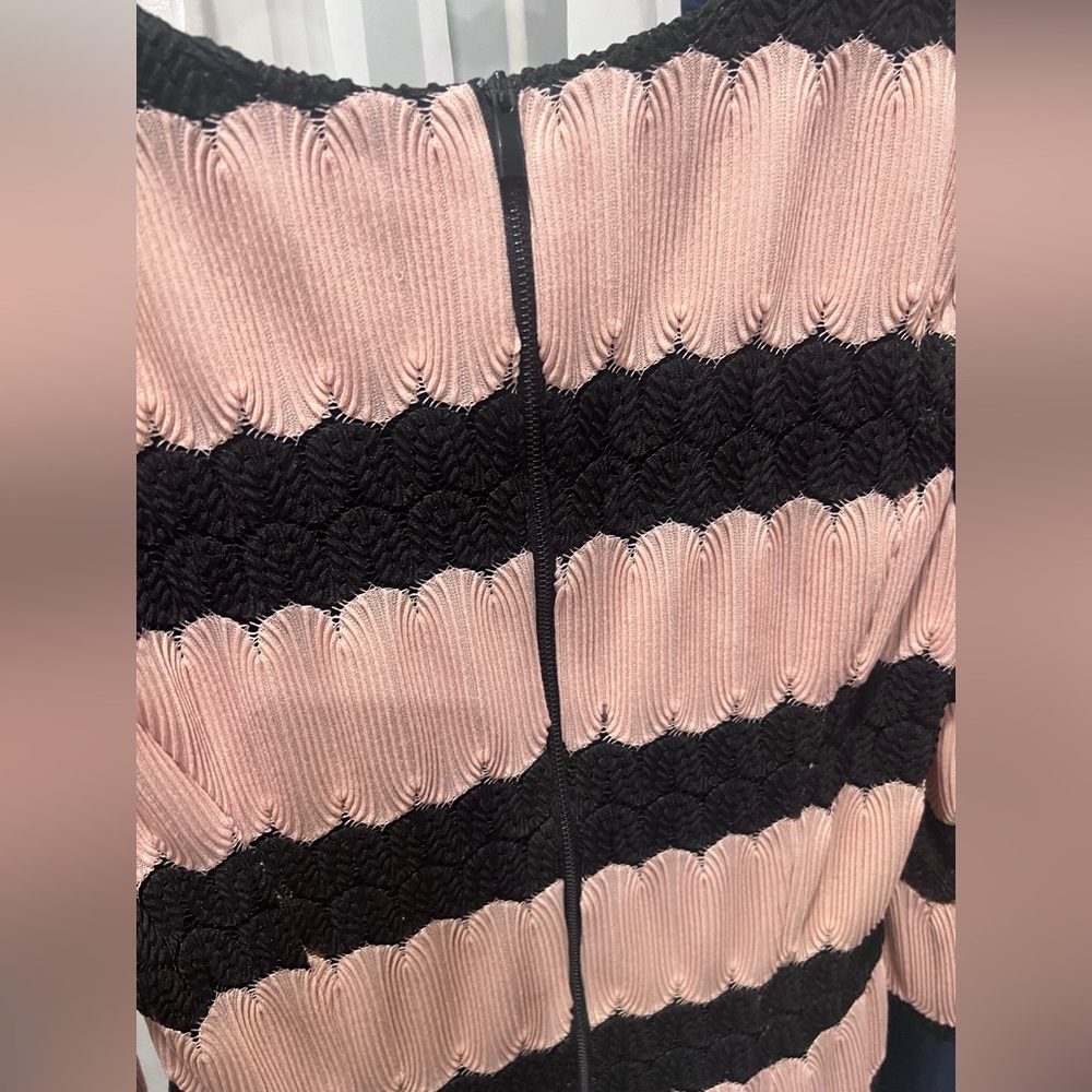 Taylor Apricot Black Lace-Stripe Bell-Sleeve A-Line Dress 10 - Picture 6 of 9